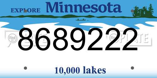 8689222 Minnesota License Plate