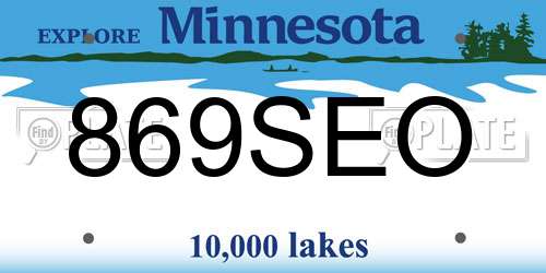 869SEO Minnesota License Plate