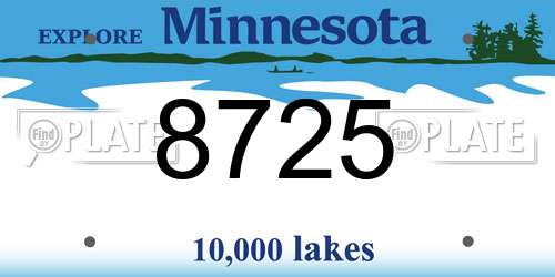 8725 Minnesota License Plate