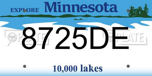 8725DE Minnesota License Plate