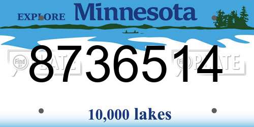 8736514 Minnesota License Plate
