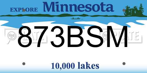 873BSM Minnesota License Plate