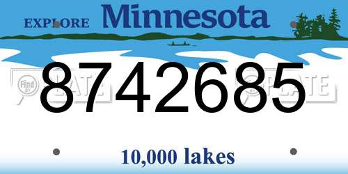 8742685 Minnesota License Plate