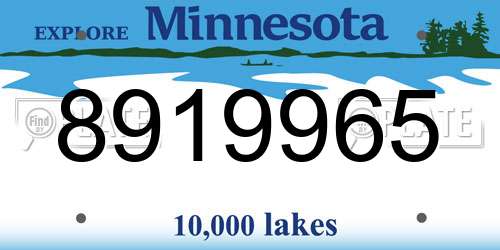 8919965 Minnesota License Plate