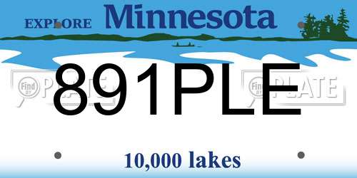 891PLE Minnesota License Plate