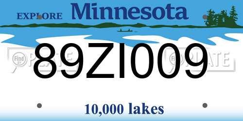 89ZI009 Minnesota License Plate
