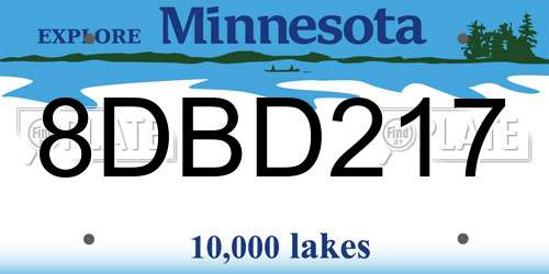 8DBD217 Minnesota License Plate