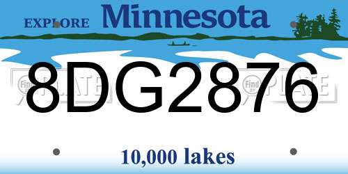 8DG2876 Minnesota License Plate