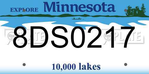 8DS0217 Minnesota License Plate