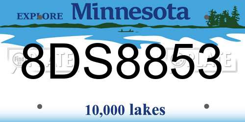 8DS8853 Minnesota License Plate