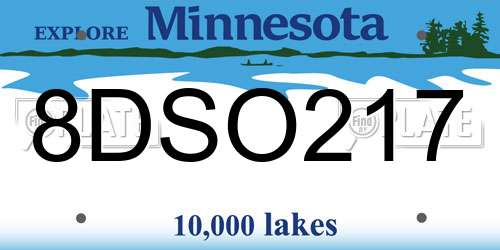 8DSO217 Minnesota License Plate