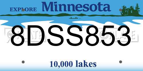 8DSS853 Minnesota License Plate