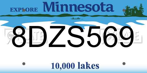 8DZS569 Minnesota License Plate