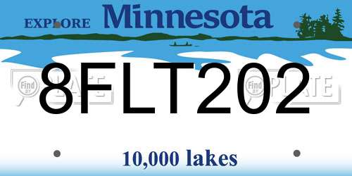 8FLT202 Minnesota License Plate