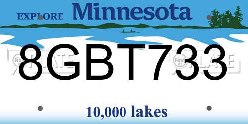 8GBT733 Minnesota License Plate