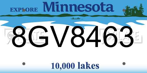 8GV8463 Minnesota License Plate