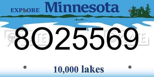 8O25569 Minnesota License Plate