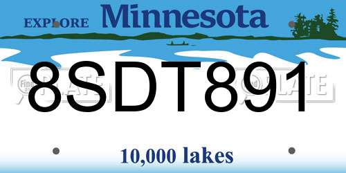 8SDT891 Minnesota License Plate