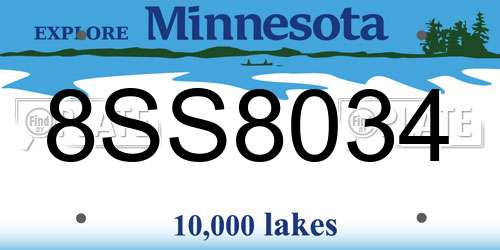 8SS8034 Minnesota License Plate