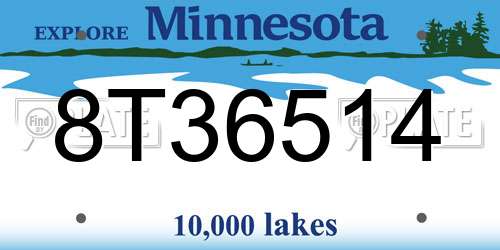 8T36514 Minnesota License Plate