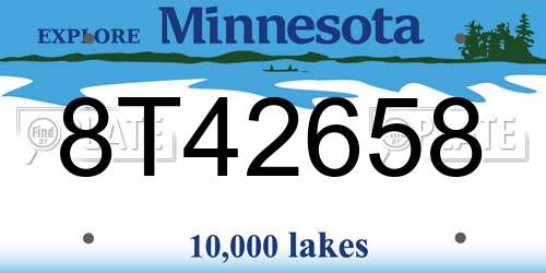 8T42658 Minnesota License Plate