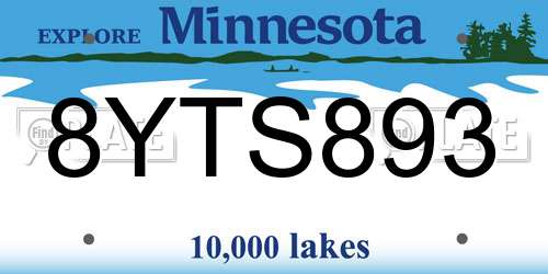 8YTS893 Minnesota License Plate