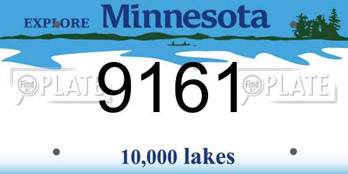 9161 Minnesota License Plate