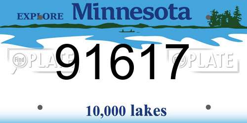 91617 Minnesota License Plate