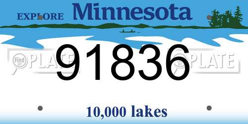91836 Minnesota License Plate
