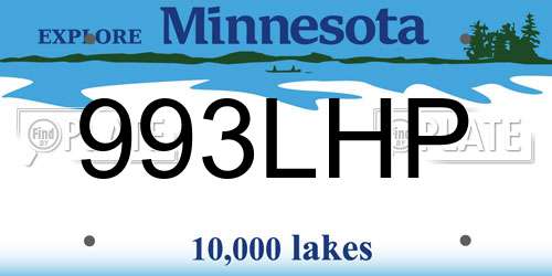 993LHP Minnesota License Plate