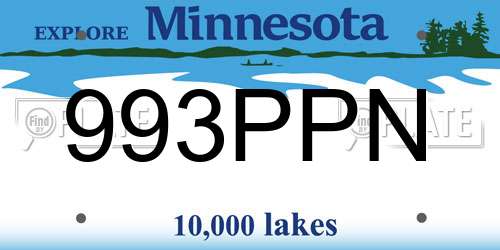 993PPN Minnesota License Plate