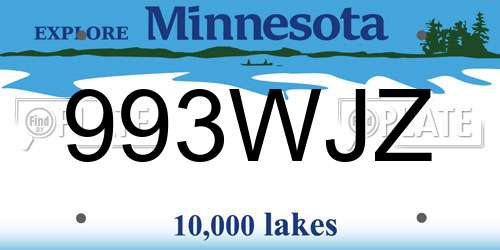 993WJZ Minnesota License Plate