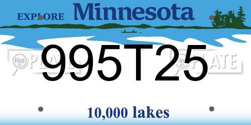995T25 Minnesota License Plate