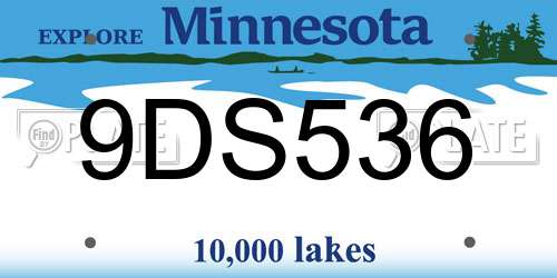 9DS536 Minnesota License Plate