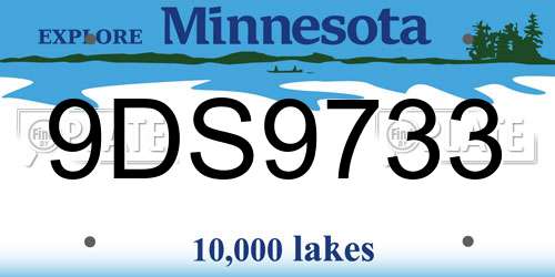 9DS9733 Minnesota License Plate