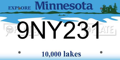 9NY231 Minnesota License Plate