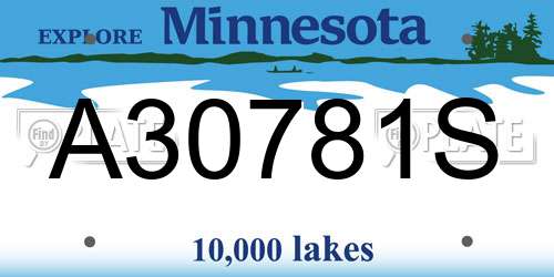 A30781S Minnesota License Plate