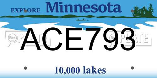 ACE793 Minnesota License Plate