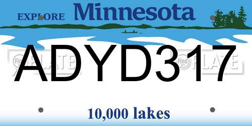ADYD317 Minnesota License Plate