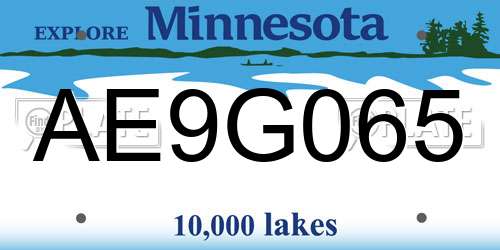 AE9G065 Minnesota License Plate