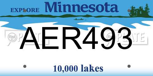 AER493 Minnesota License Plate