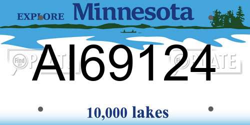 AI69124 Minnesota License Plate