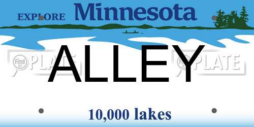 ALLEY Minnesota License Plate
