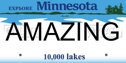 AMAZING Minnesota License Plate