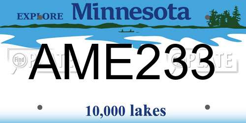 AME233 Minnesota License Plate