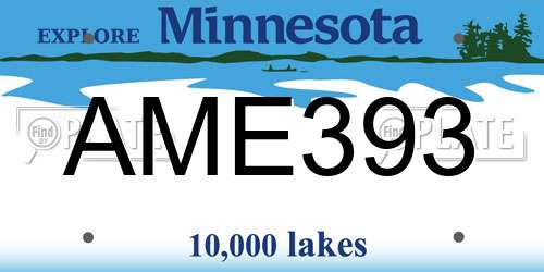 AME393 Minnesota License Plate