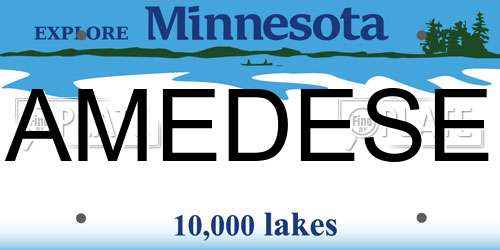 AMEDESE Minnesota License Plate