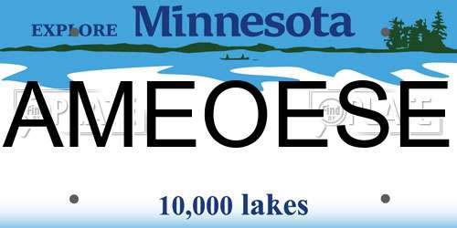 AMEOESE Minnesota License Plate