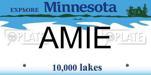 AMIE Minnesota License Plate