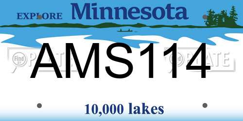 AMS114 Minnesota License Plate